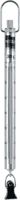 PESOLA Balance à ressort  Medio-Line noir avec pince 300 g / 2 g - toolster.ch