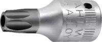 STAHLWILLE Stifteinsatz 1/4"  44KTXB für TORX®-Schrauben T10 - toolster.ch
