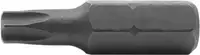NERIOX Lame pour vis TORX® 5/16" forme C8, T20 - toolster.ch