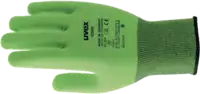 UVEX Gants tricotés C500 10 - toolster.ch