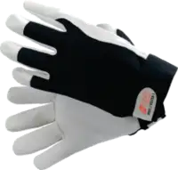 NITRAS Lederhandschuhe Dexter 1 (8905) 10 - toolster.ch