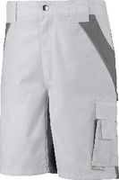 PLANAM Shorts  Plaline weiss/zink 2543 XL - toolster.ch