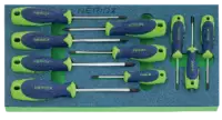 NERIOX Modul Schraubenzieherset Für TORX®-Schrauben 188 x 395 x 30 mm, 10-teilig - toolster.ch