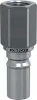 LUEDECKE Stecknippel ESCBE mit geradem Innengewinde, Edelstahl DN 6 - G 1/4" - toolster.ch