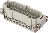 MOULDPRO Kontakteinsatz standard M 16A / 250V 16 - Brütsch/Rüegger Tools