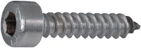 Zylinder-Blechschrauben mit Innensechskant INOX A2 und Spitze Form C 6.3 x 16 - brwtools.ch