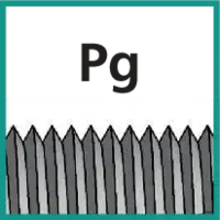 gemäss Gewindenorm Pg (Panzerrohrgewinde)
