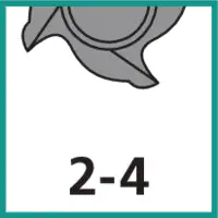 Zähnezahl 2 - 4