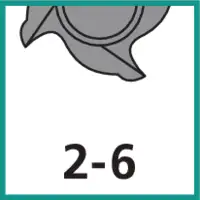 Zähnezahl 2 - 6