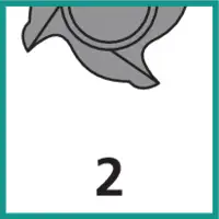 Zähnezahl 2