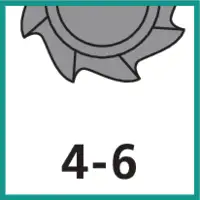 Zähnezahl 4 - 6