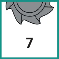 Zähnezahl 7