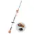 HLA 56 (SET+)