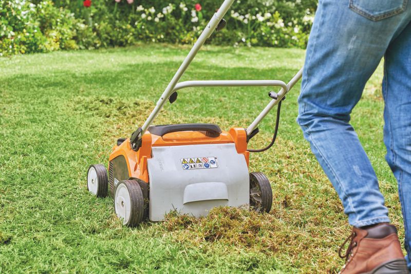 STIHL AkkuRasenlüfter RLA 240 AK 36V...